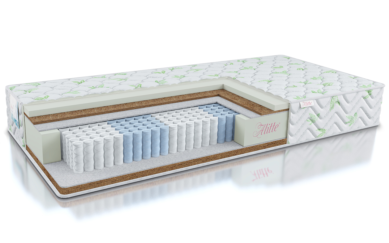 Alitte Classicus Rembrandt S1000 MH-21-K